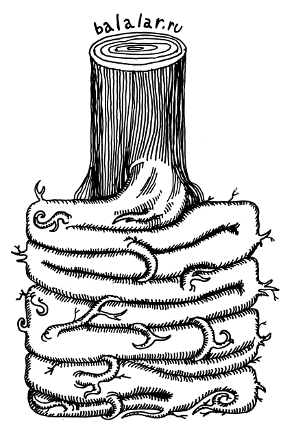 Квадратный корень из дерева