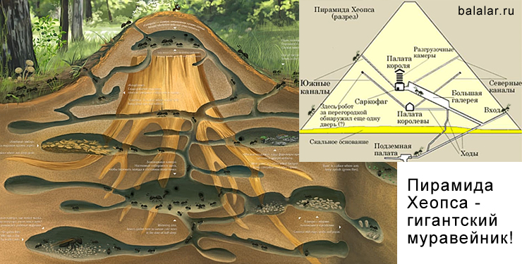 Пирамида Хеопса - гигантский муравейник